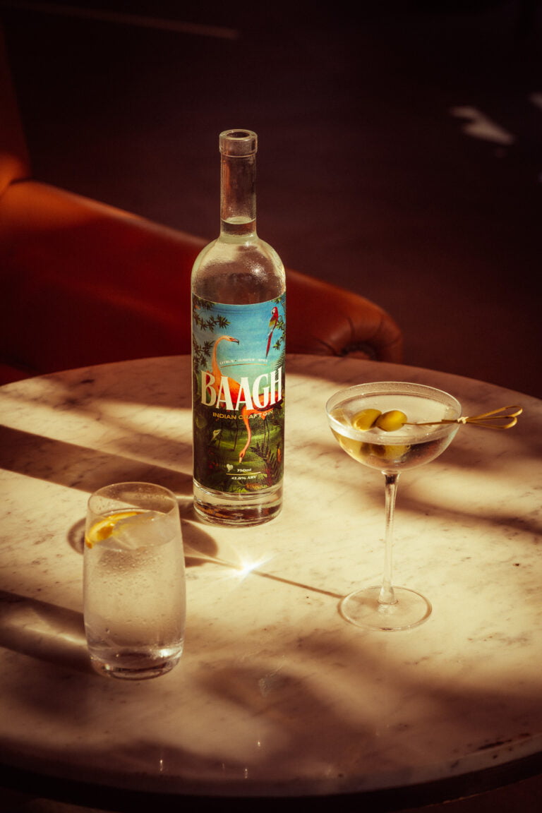 Baagh_Gin_Pinaak_Kumar