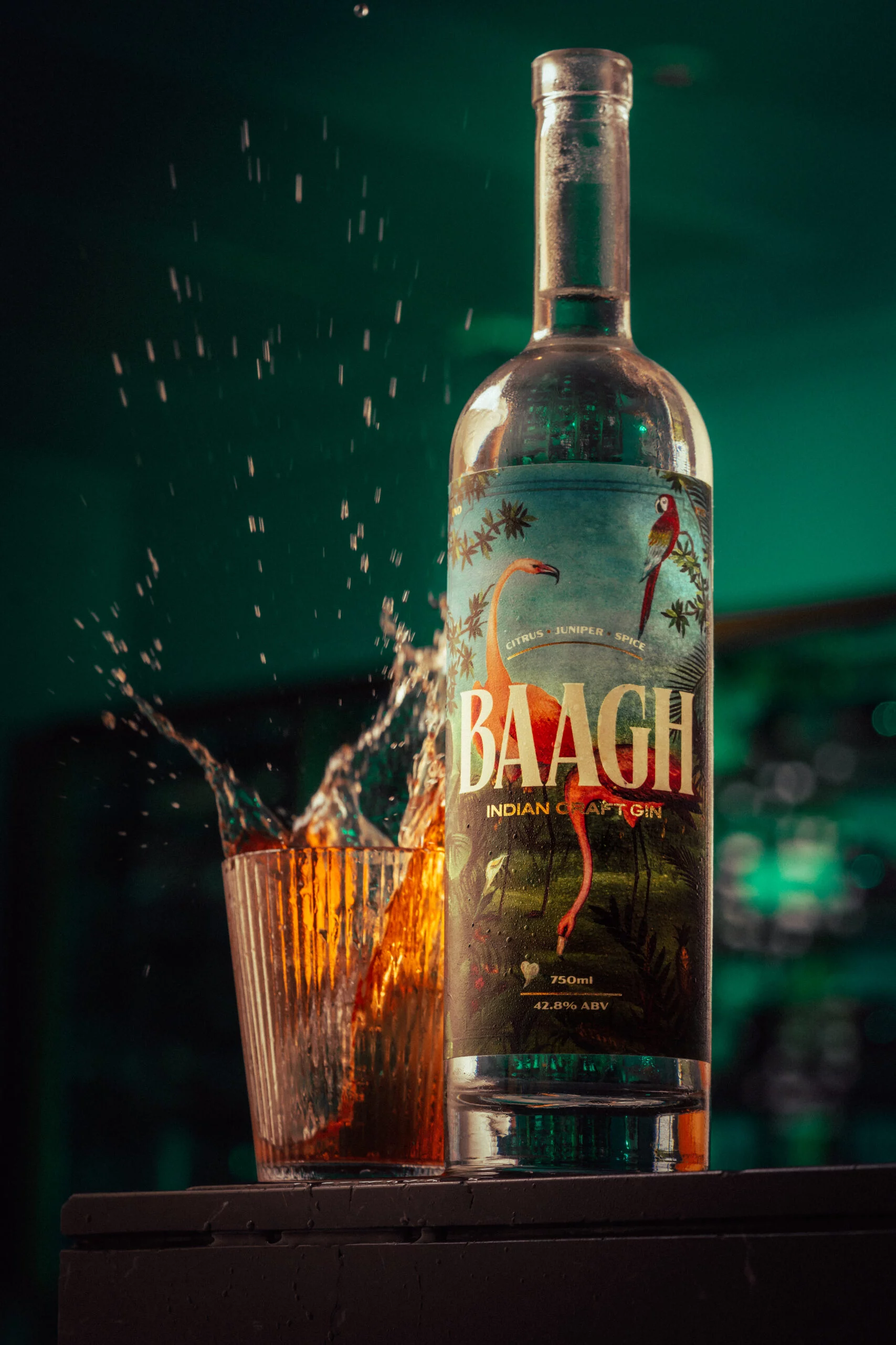 Baagh Jin | Pinaak Kumar