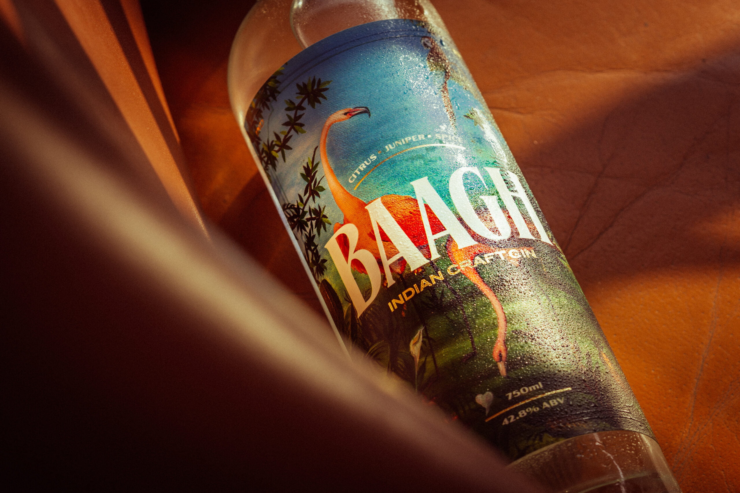 Baagh Jin | Pinaak Kumar